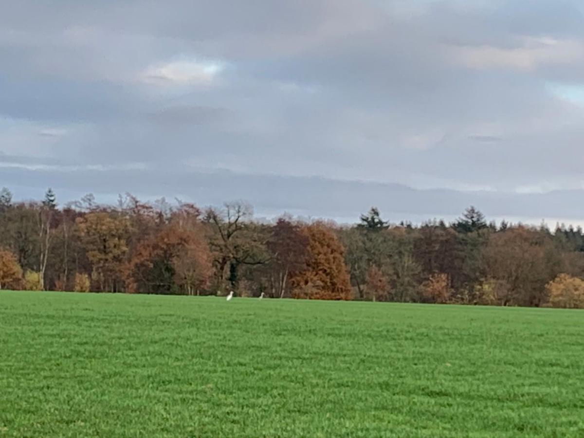 Dinkel Verblijf Denekamp Buitenkant foto