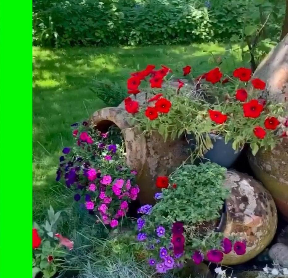 Dinkel Verblijf Denekamp Buitenkant foto